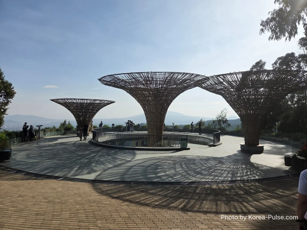 BTS Is Back: A Global Dad's Perspective from the Heart of Seoul 4 Woven canopy structures shaped like trees at Entoto Park, an overlook above Addis Ababa, Ethiopia