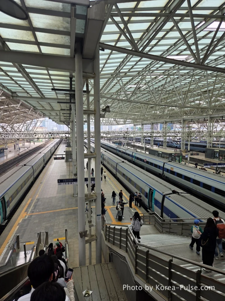 KTX Korea: A 600km Day Trip That Turned Distance into Family Time 5 KTX bullet trains lined up at Seoul Station platform ready for departure