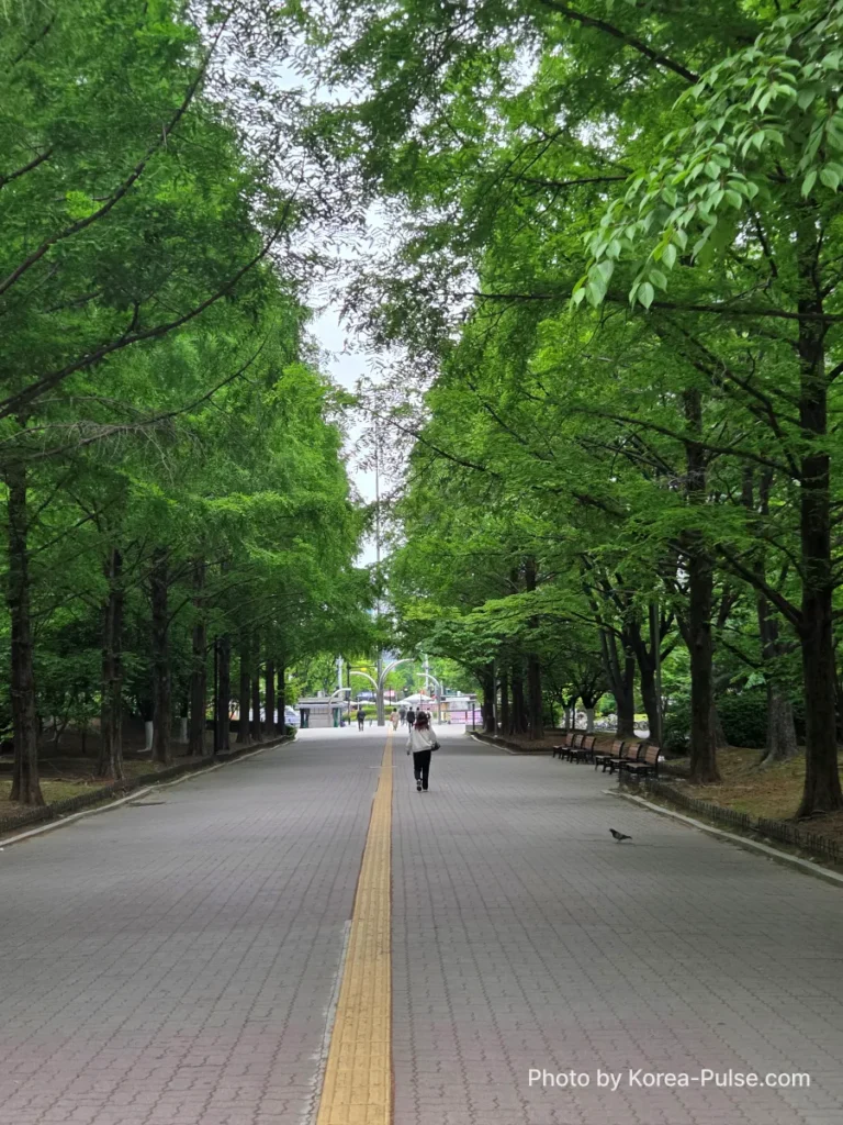 How to Buy a Seoul Subway Ticket: Step-by-Step Guide for Foreigners (2026) 1 Tree-lined street near Juyeop station on Seoul Metro Line 3 during early morning commute to Seoul